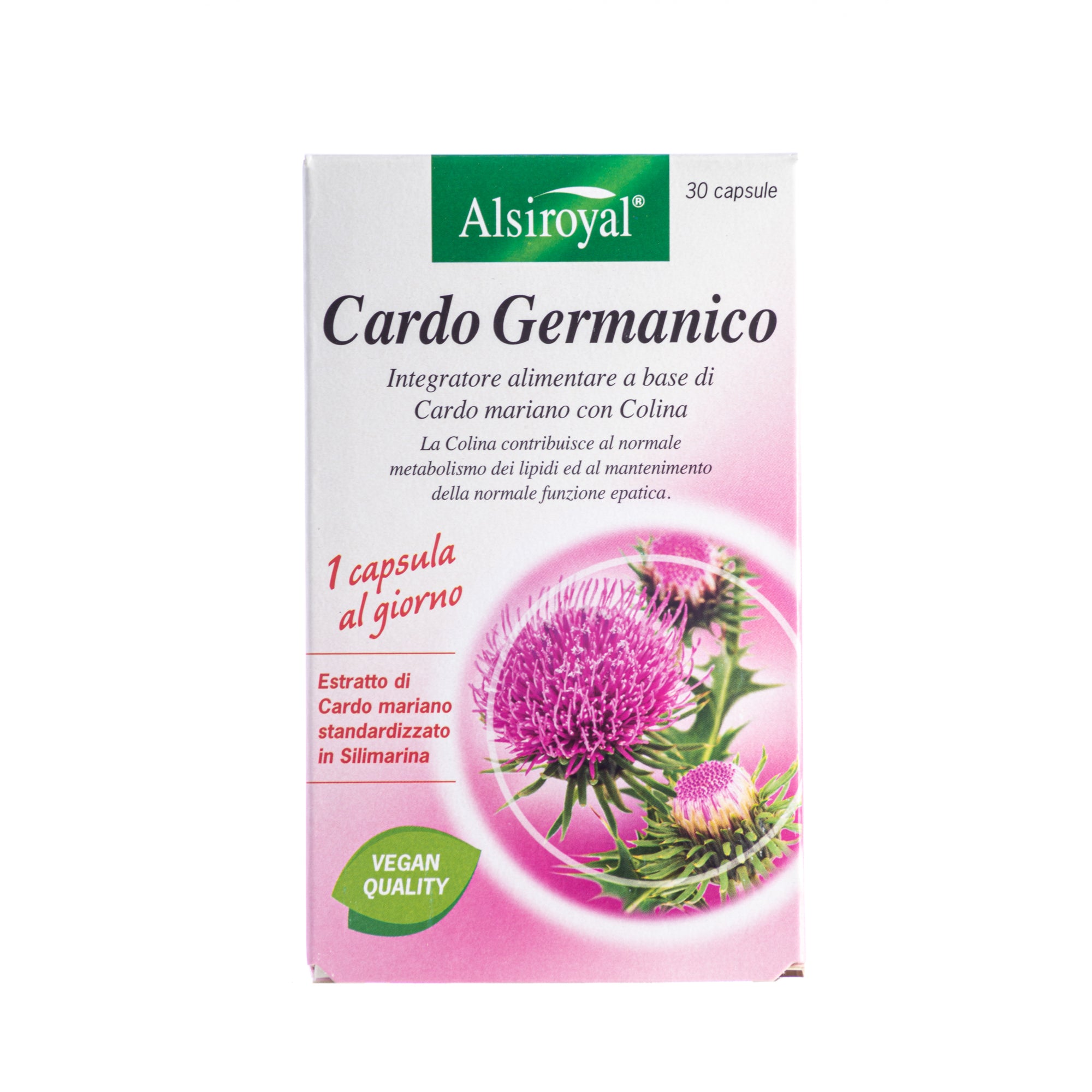 CARDO GERMANICO