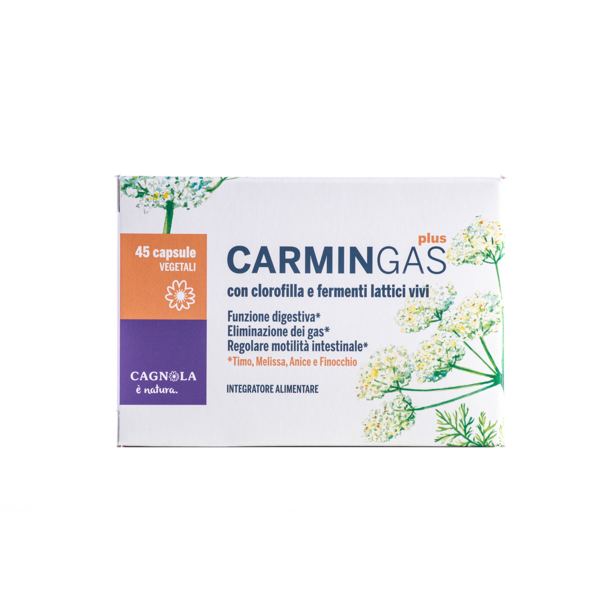 CARMIN GAS PLUS
