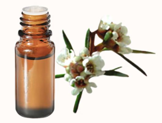 FRAGONIA RAMI OLIO ESSENZIALE 1ML