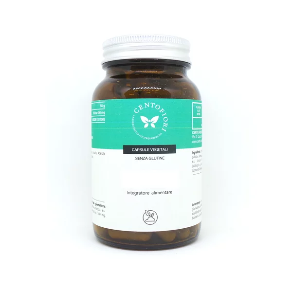 GINSETON 100 CAPSULE