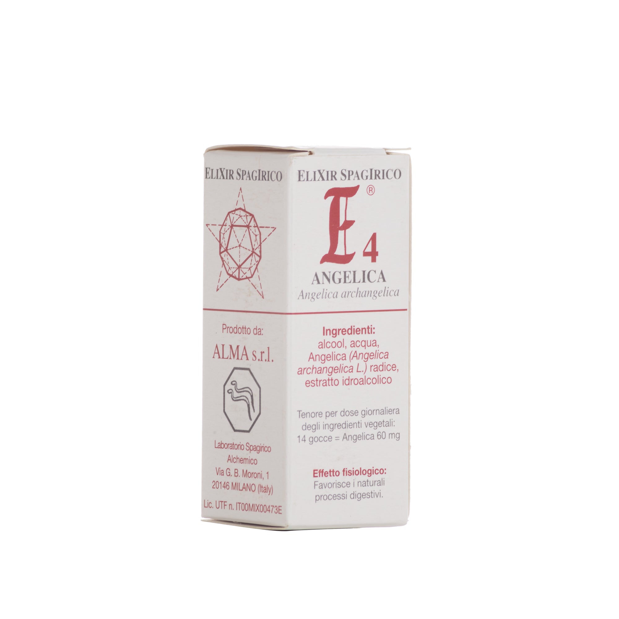 E04 ANGELICA