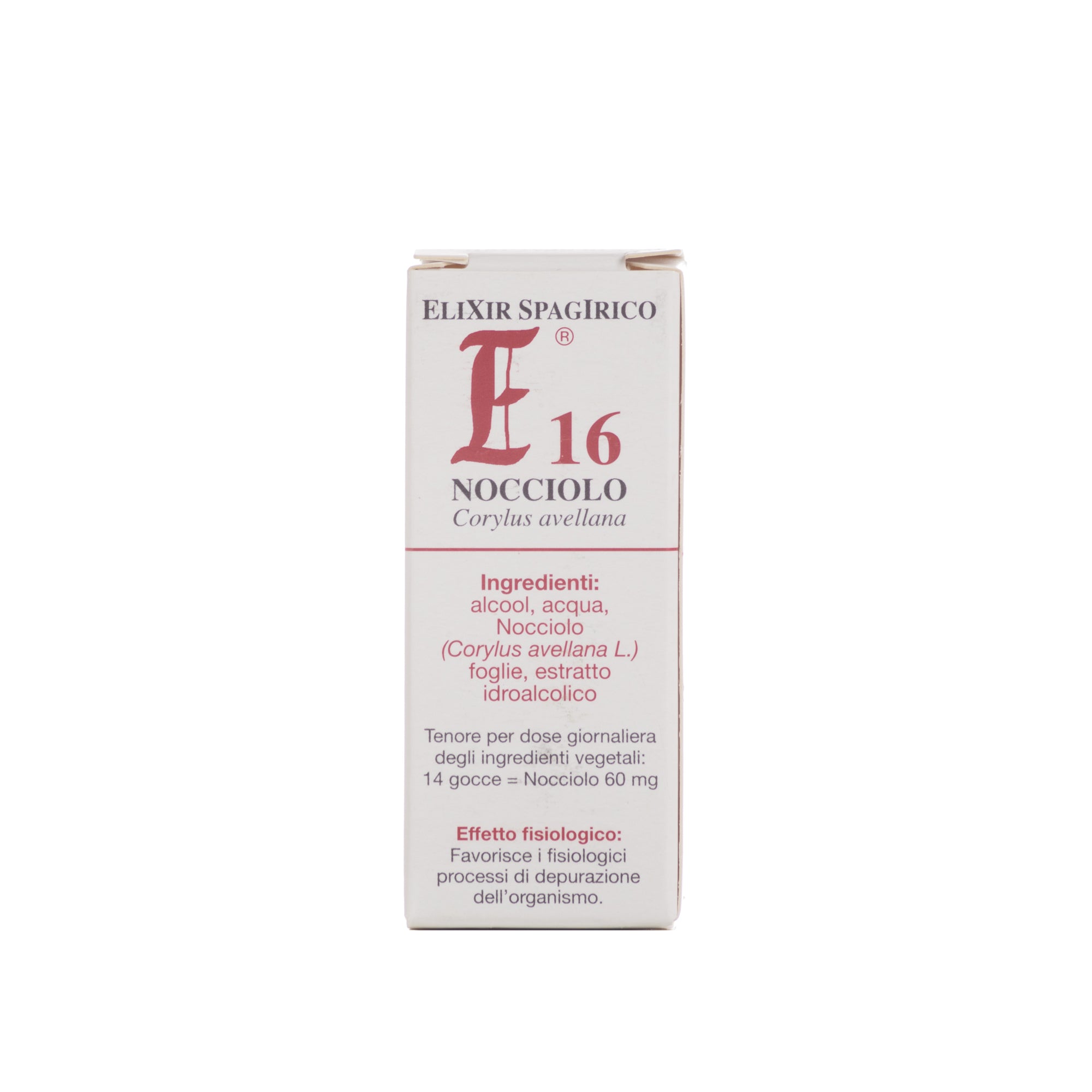 E16 NOCCIOLO