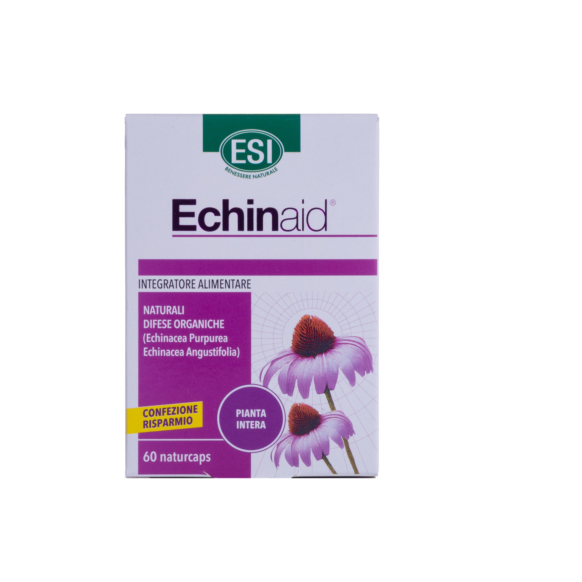ECHINAID