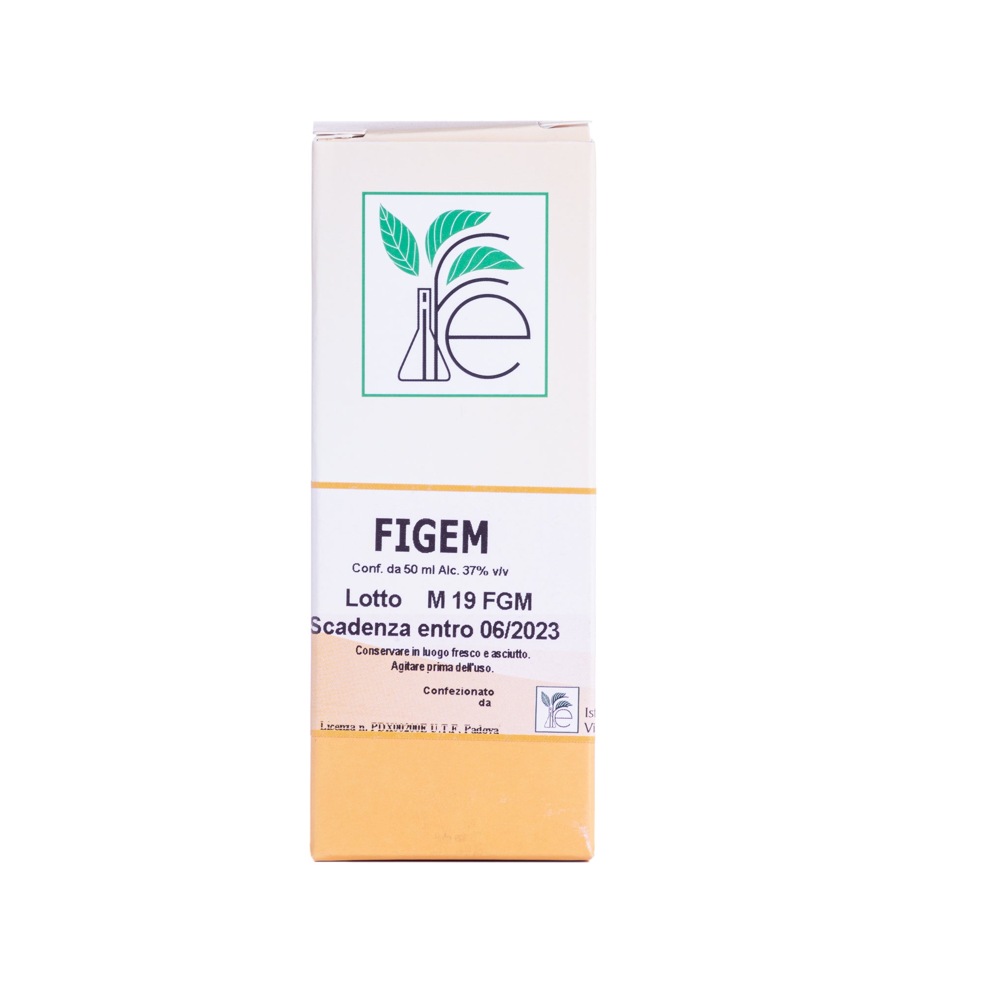 FIGEM GEMMO COMPLEX