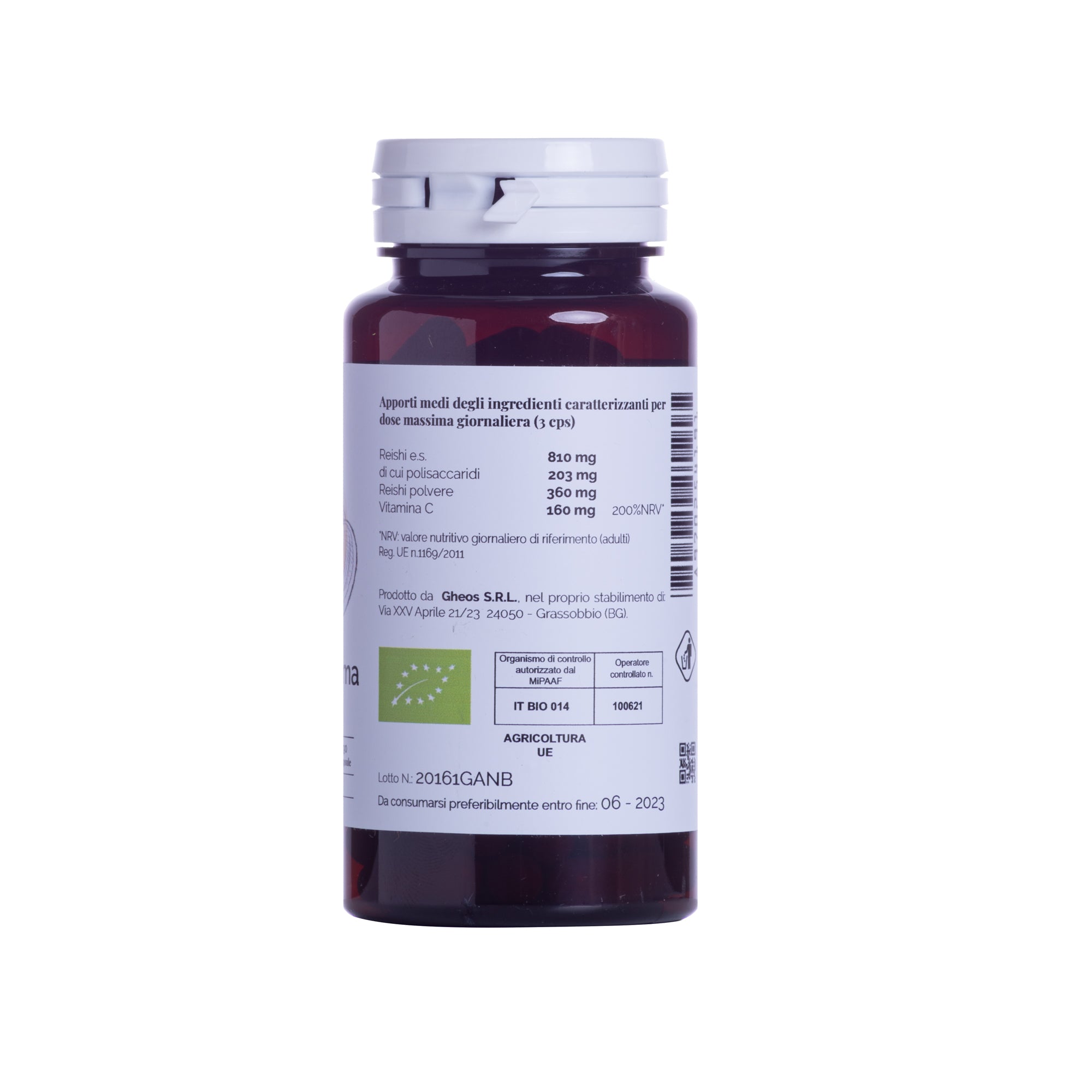 Ganoderma