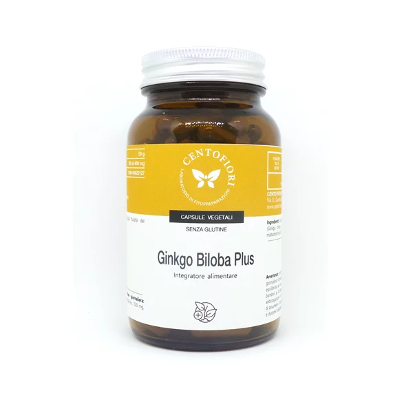 GINKGO BILOBA PLUS 100 CAPSULE