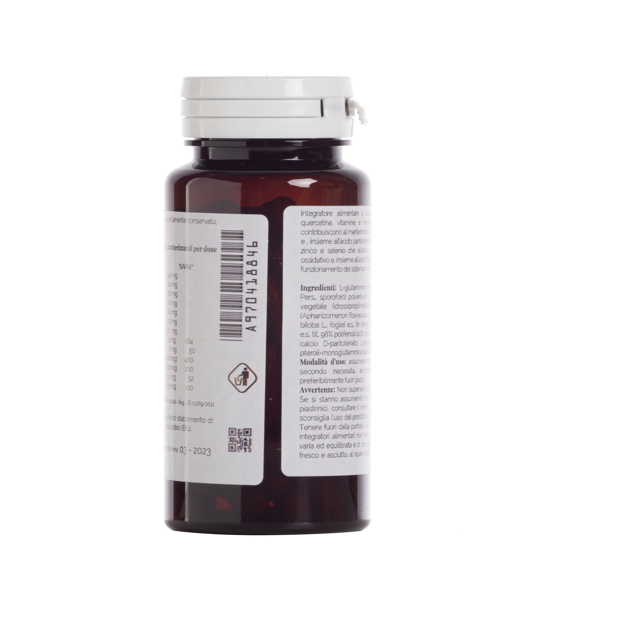 HERICIUM GUT