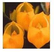 AMAZZONIA VENUS ORCHID 15ML