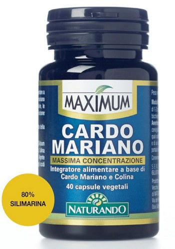 MAXIMUM CARDO MARIANO