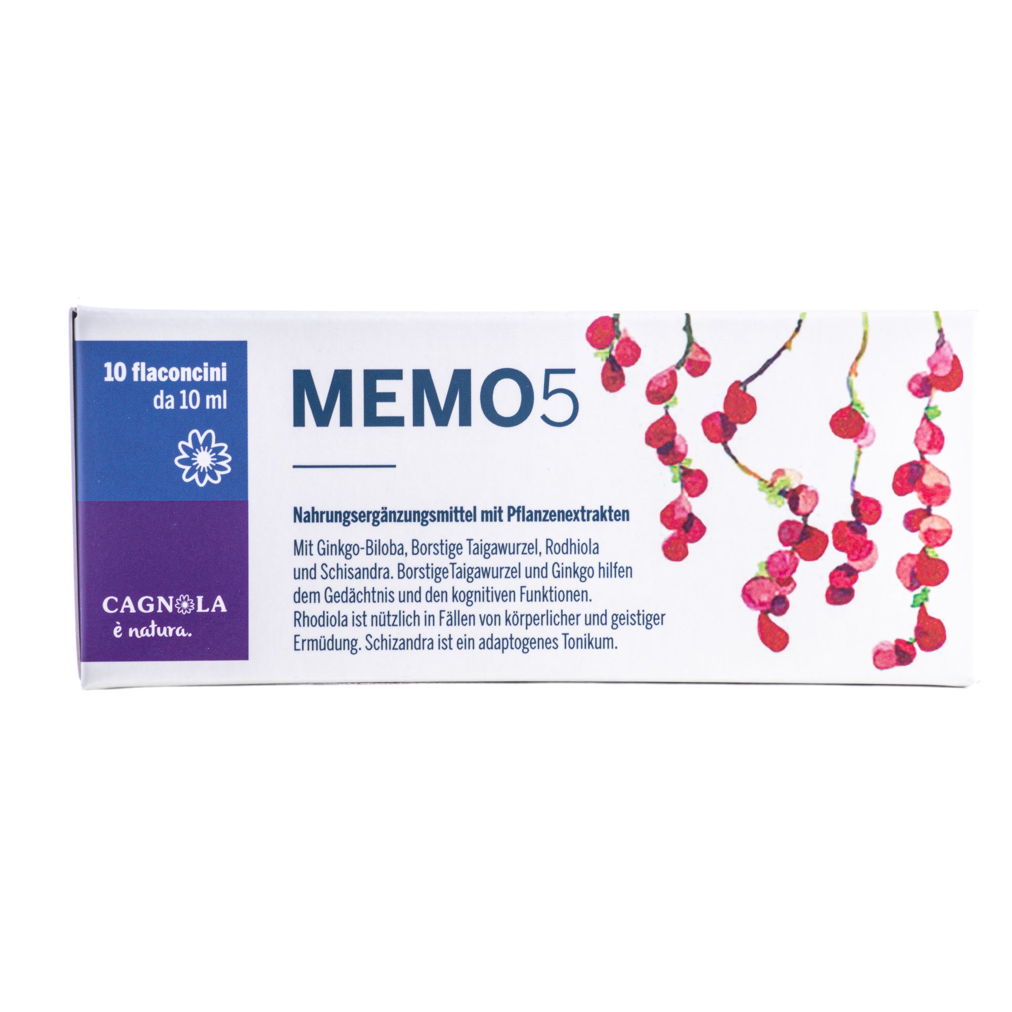 MEMO 5