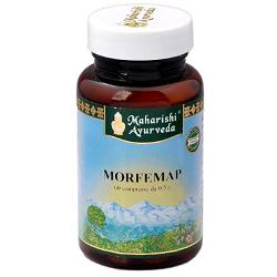 MORFEMAP