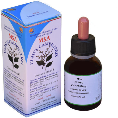 MSA ULMUS CAMPESTRIS 50ML