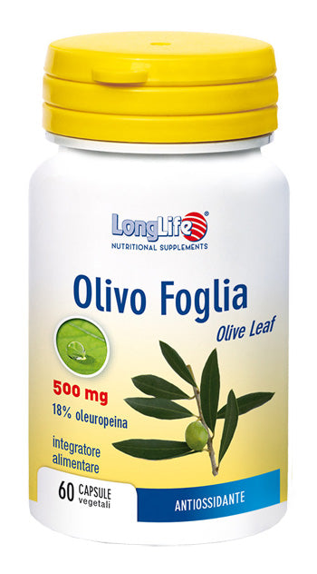 OLIVO FOGLIA