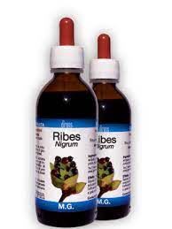 RIBES NIGRUM MG 150 ML