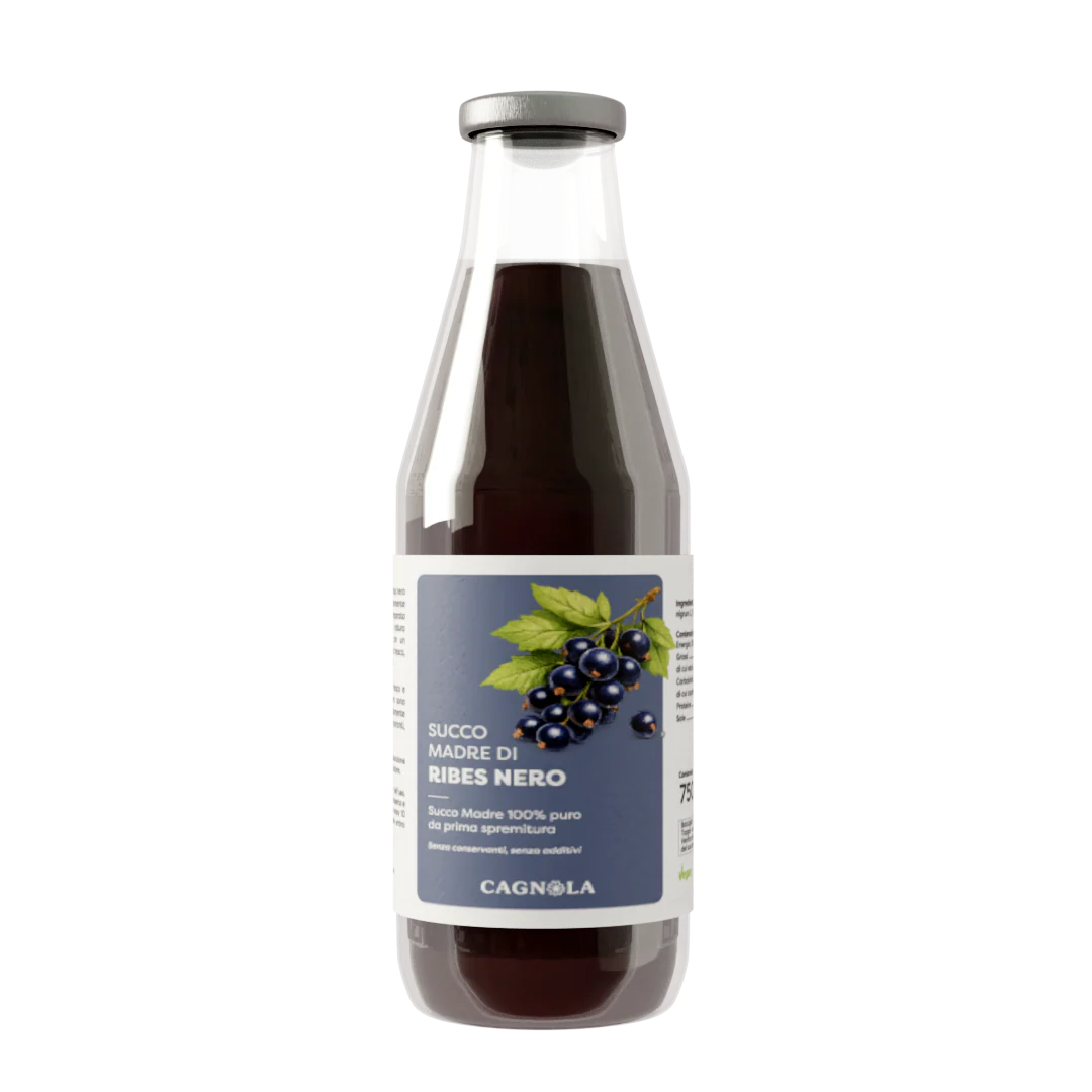 SUCCO MADRE RIBES NERO 750ML