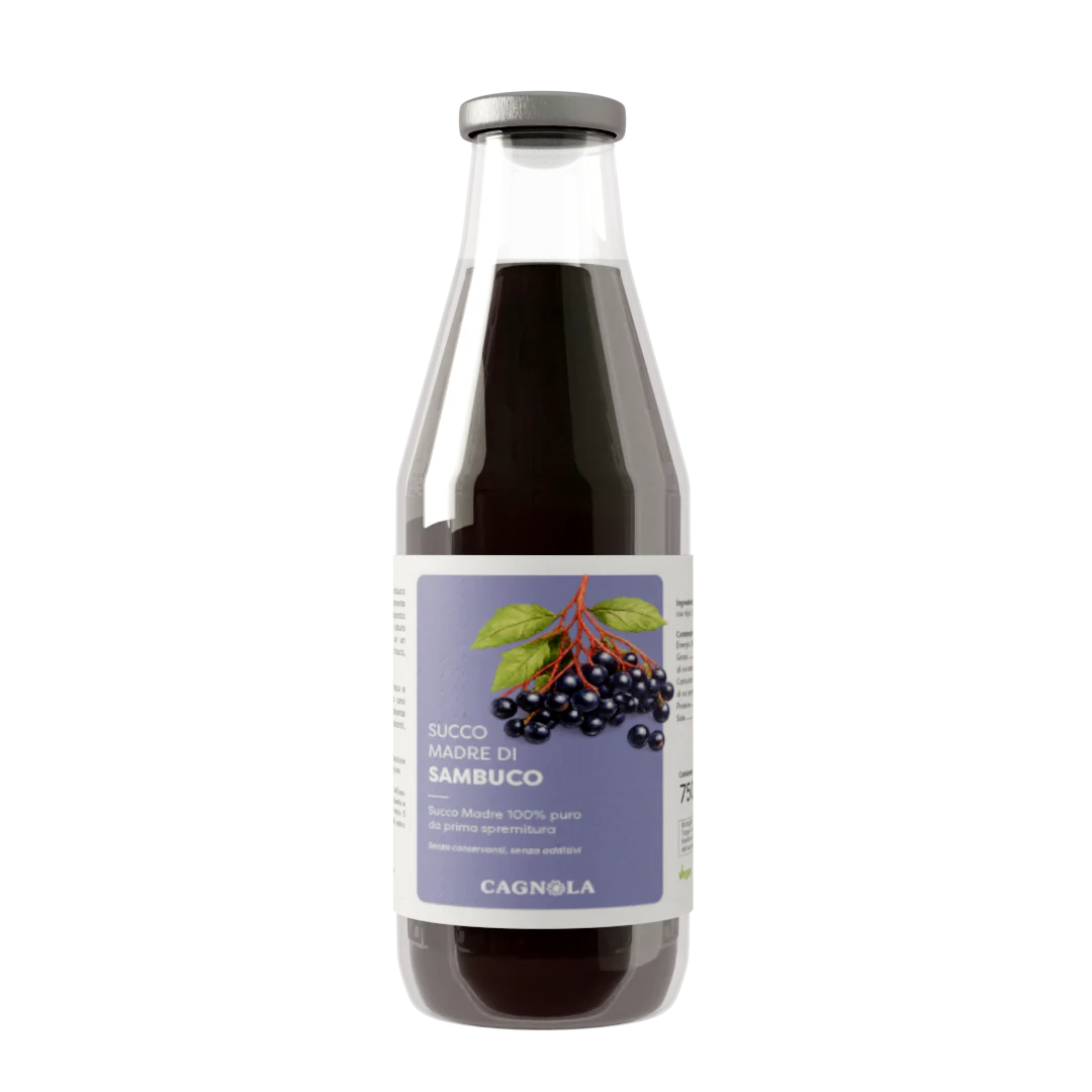 SUCCO MADRE SAMBUCO 750ML