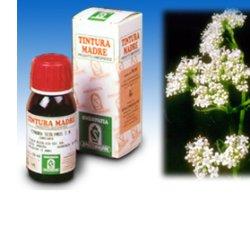 VALERIANA OFFICINALIS TINTURA MADRE