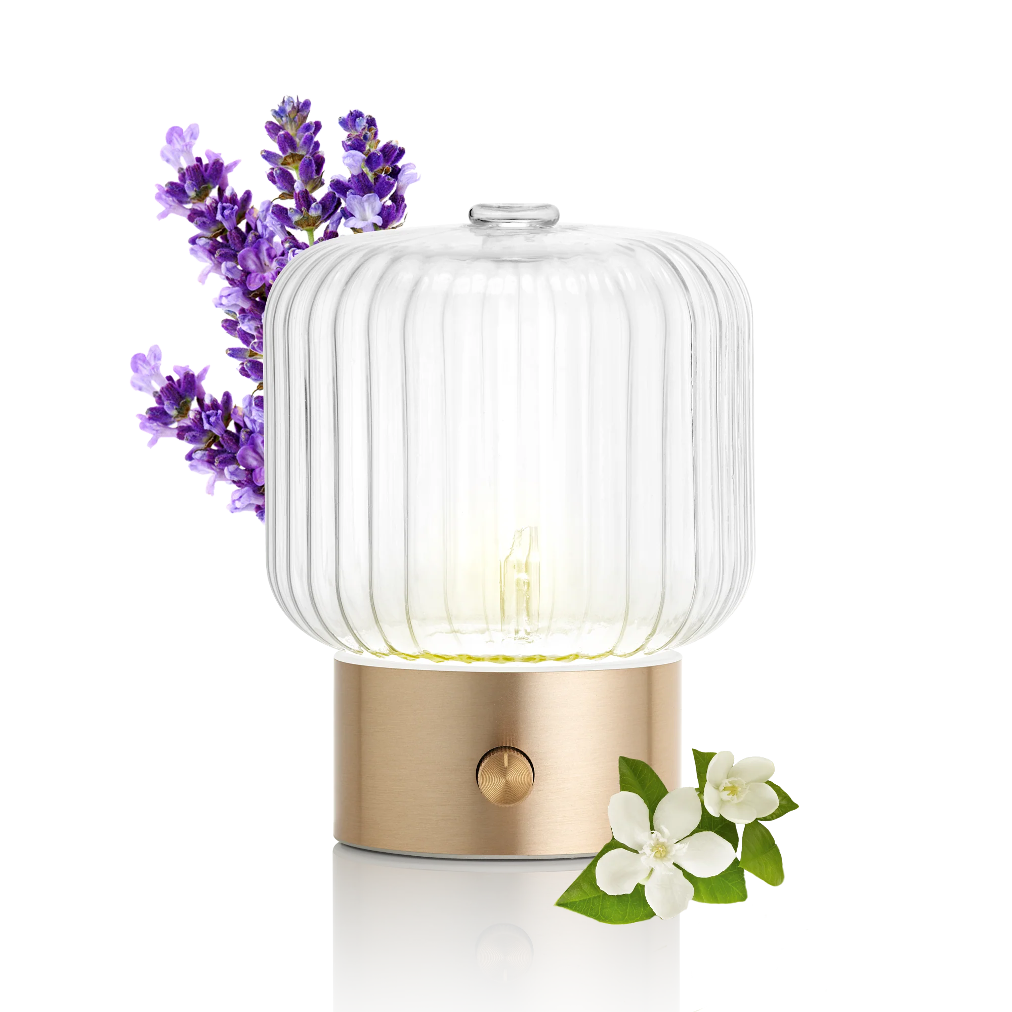 PURESSENTIEL DIFFUSORE VERA