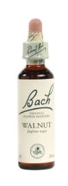 WALNUT FIORI DI BACH 20ML