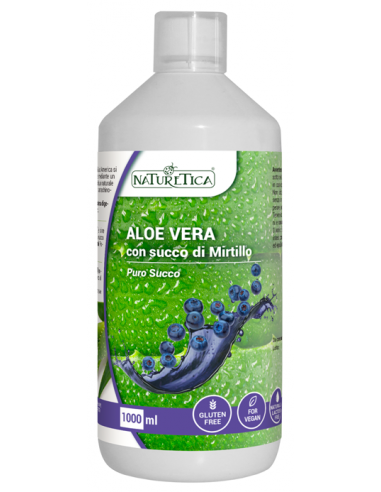 ALOE MIRTILLO SUCCO 1L