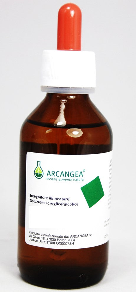 CARPINUS BETULUS MG 100ML