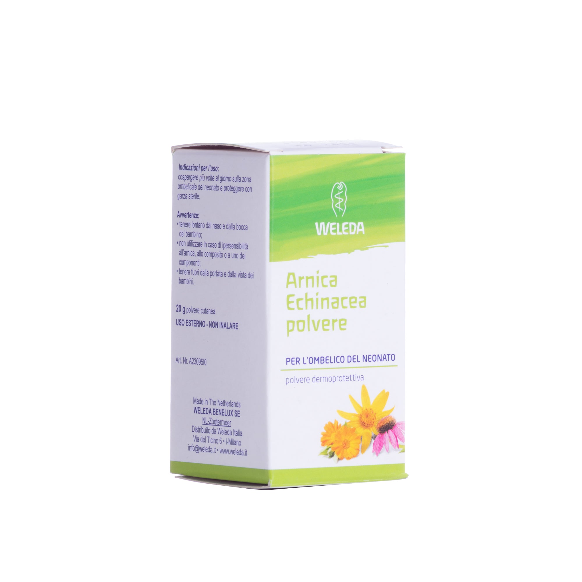 ARNICA ECHINACEA POLVERE 20G