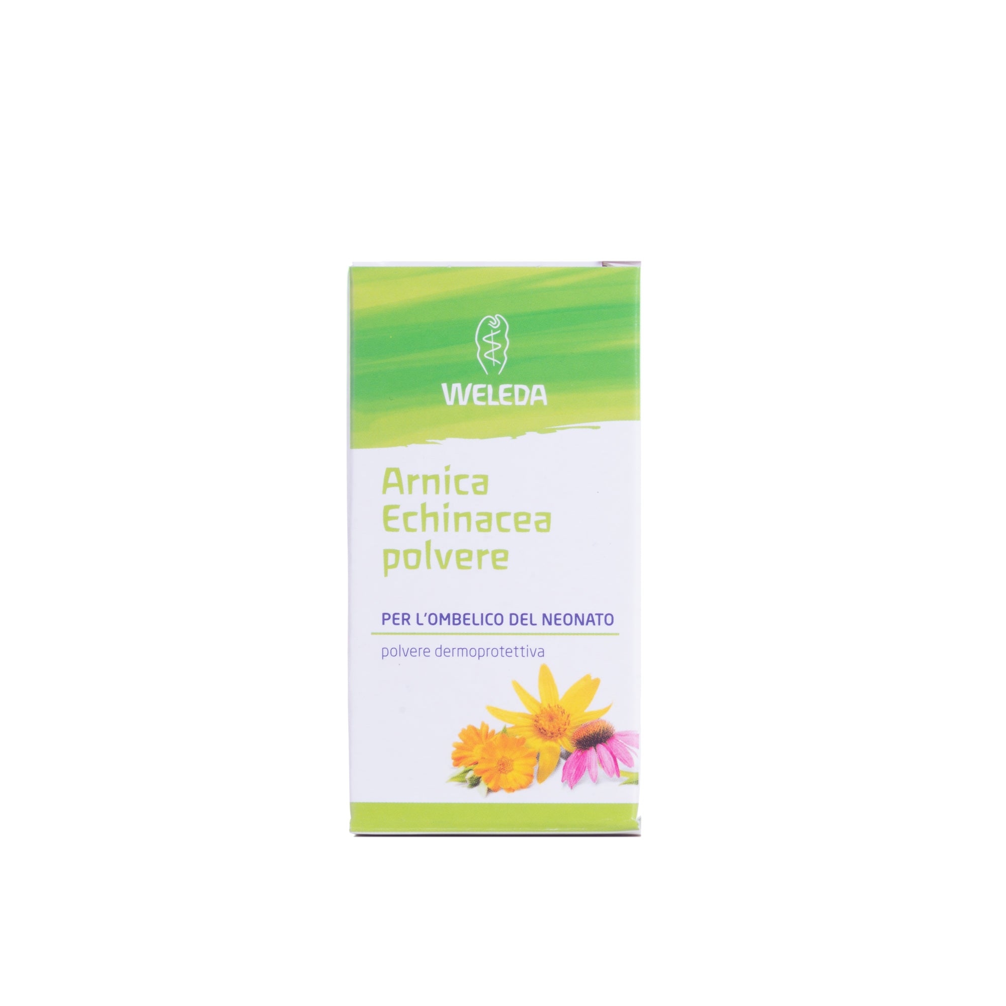 ARNICA ECHINACEA POLVERE 20G