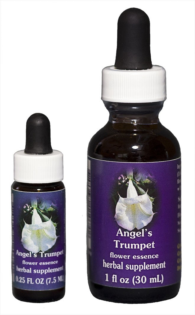 ANGEL'S TRUMPET 30ML
