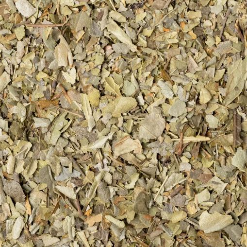 BOLDO FOGLIE TT 100G