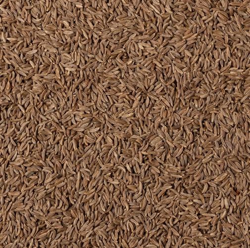 CARVI SEMI INTERI 100G