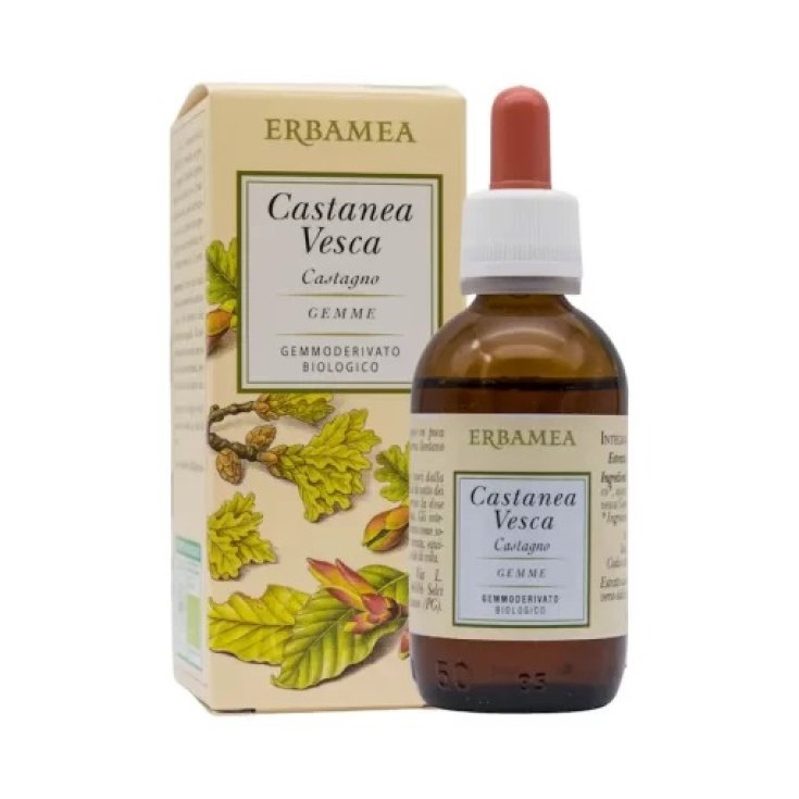 CASTANEA VESCA GEMME MG 50ML