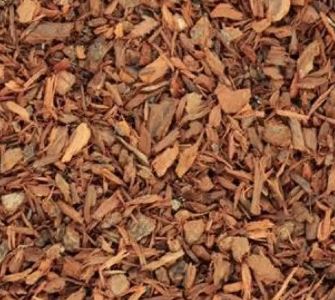 CASCARILLA OLIO ESSENZIALE 1ML