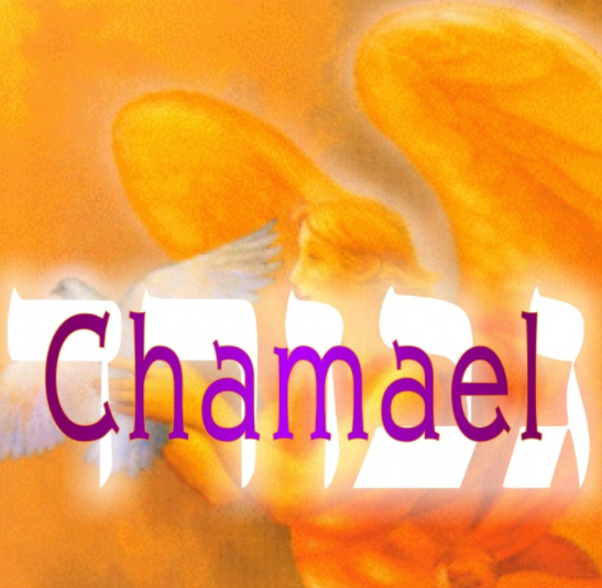 CHAMAEL SPRAY - 30ML