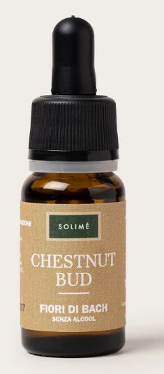 CHESTNUT BUD 10ML