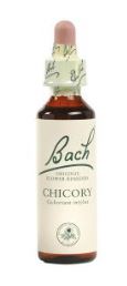 CHICORY 20ML