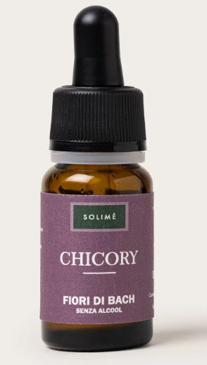 CHICORY 10ML
