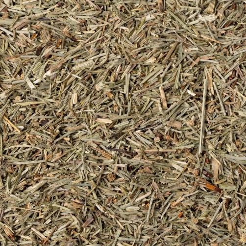 CODA CAVALLINA SOMMITA TT 100G