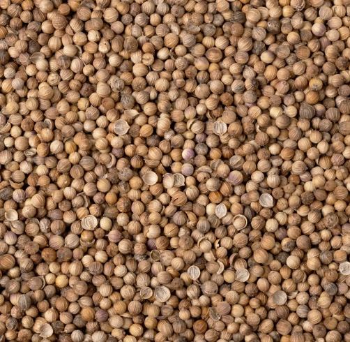 CORIANDOLO SEMI CRIVELLATI 100G