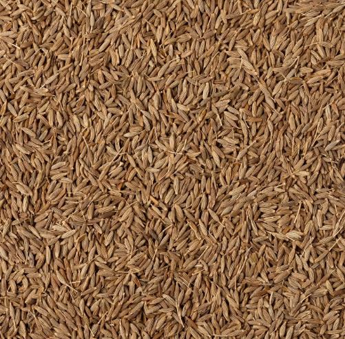 CUMINO SEMI INTERI 100G