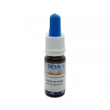 COCONUT PALM KORTE 15ML