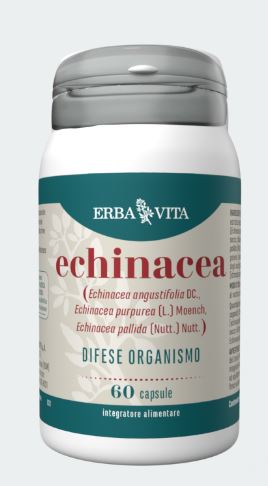 ECHINACEA 60 CAPSULE