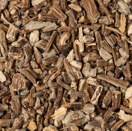 ECHINACEA RADICE TT 100G