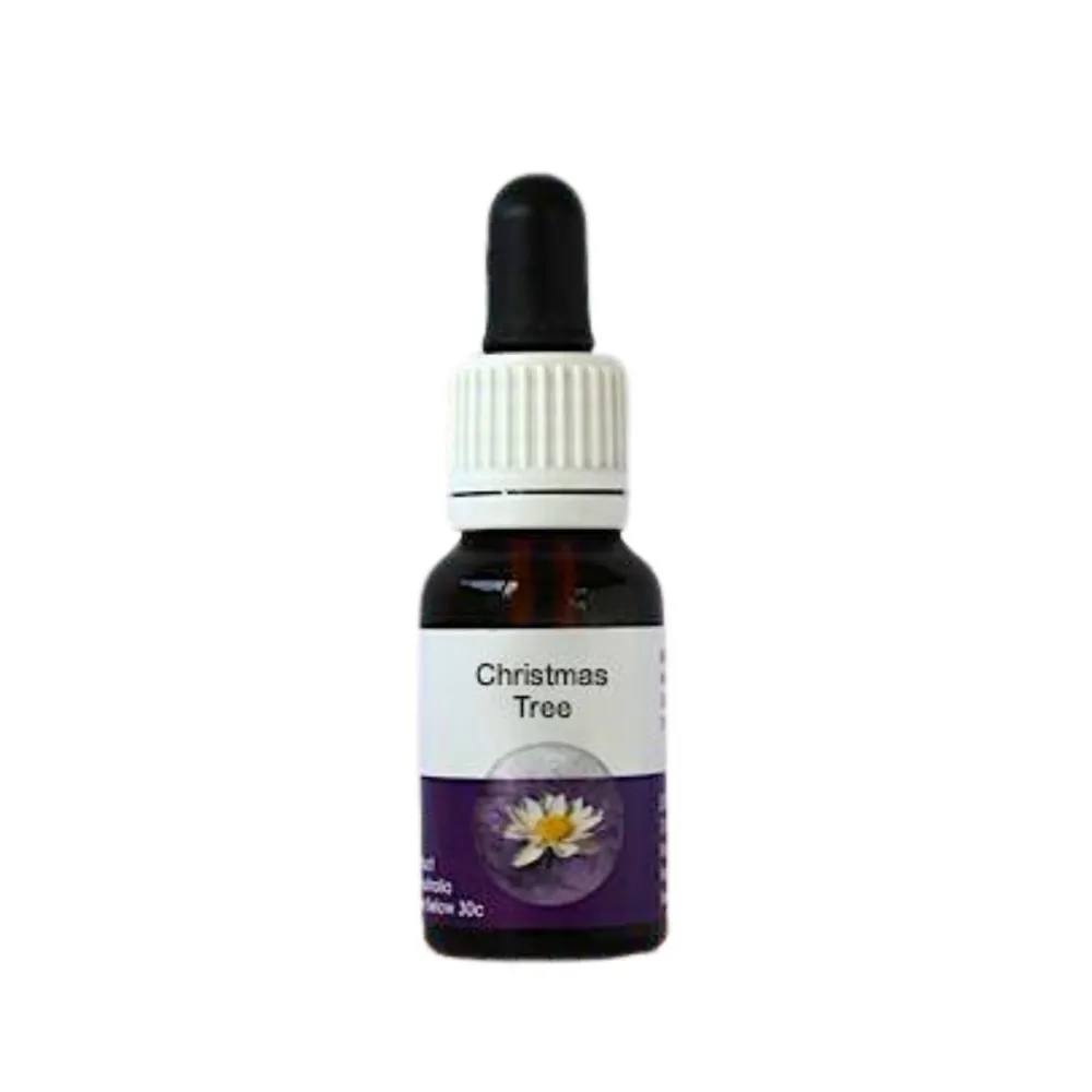 ESSENZA SINGOLA AUSTRALIAN LIVING CHRISTMAS TREE 15 ML