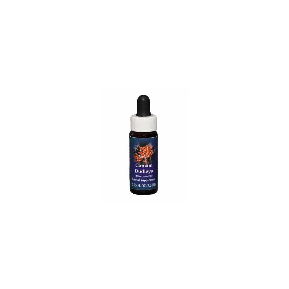 CANYON DUDLEYA FIORE CALIFORNIANO 30ML