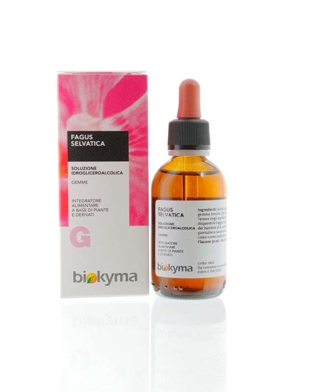 FAGUS SYLVATICA GEMME FAGGIO 50ML
