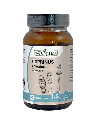 COPRINUS COMATUS 60 CAPSULE