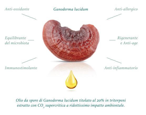 THE LONGEVITY CONCEPT Italian superior FOOD-GRADE COSMETICS DETERGENTE VISO 50ML