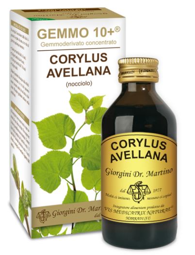 NOCCIOLO GEMMO+ LIQUIDO ANALCOLICO 500ML