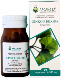 GINKGO BILOBA 60 CAPSULE