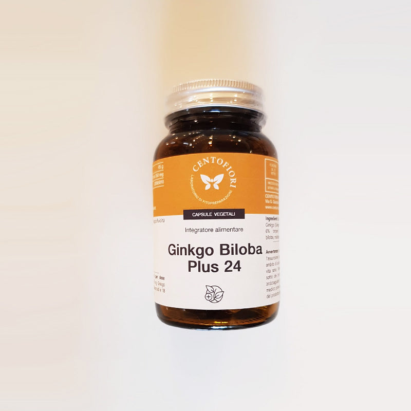 GINKGO BILOBA PLUS 24% 100 CAPSULE